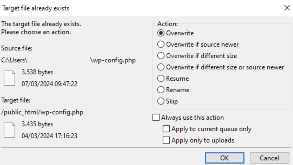 Panel inferior de FileZilla